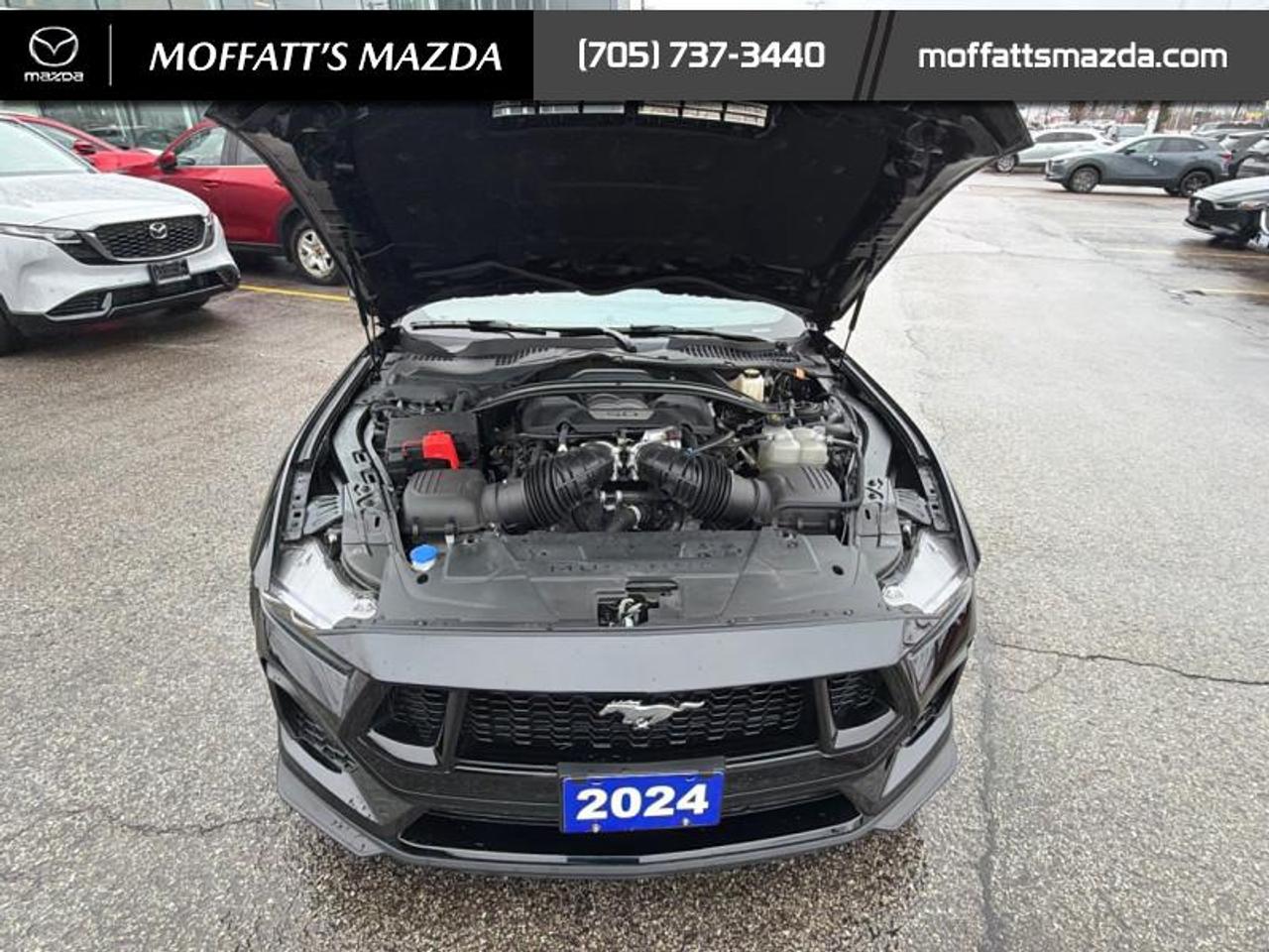 2024 Ford Mustang GT Premium Convertible Photo