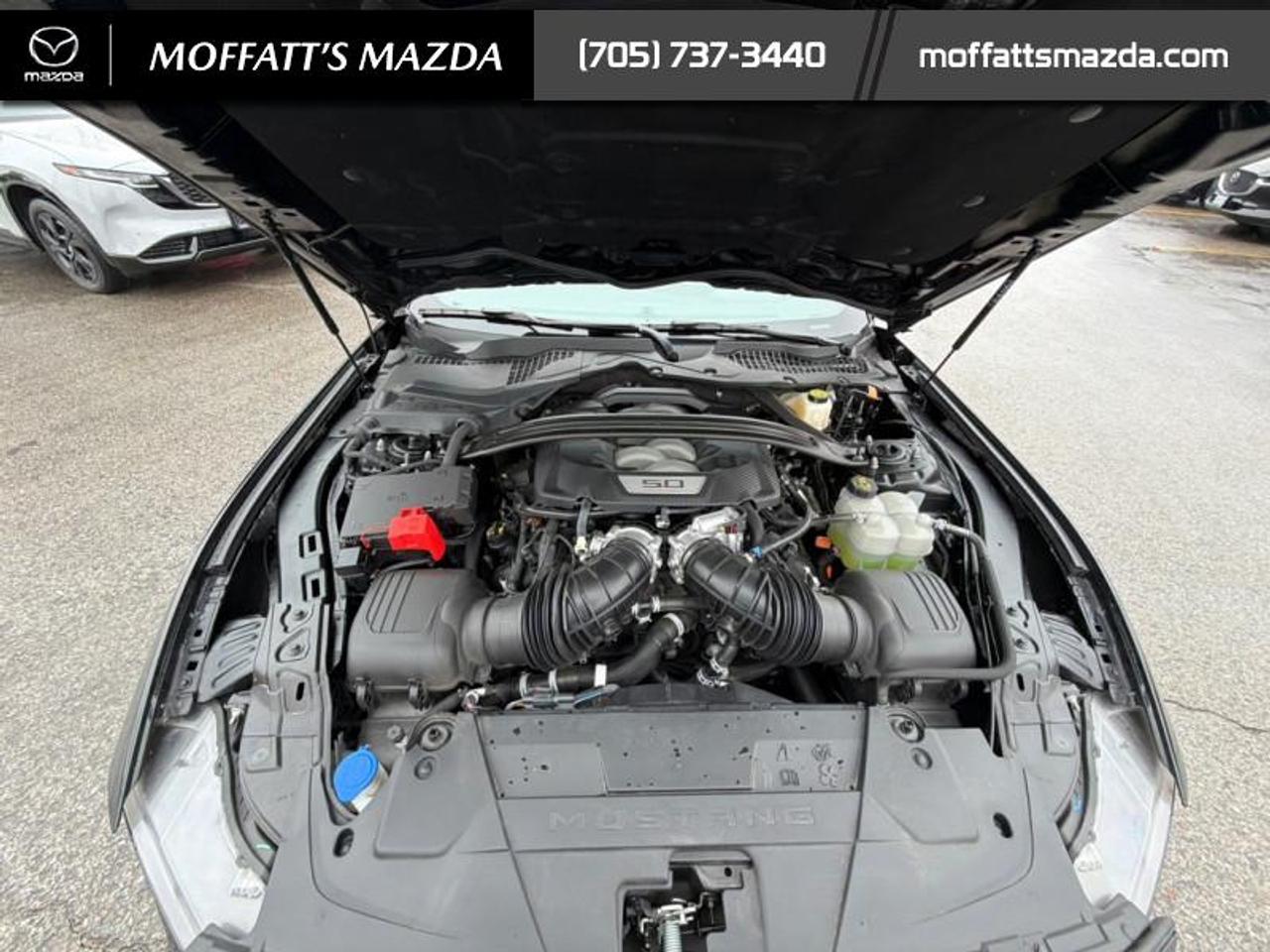 2024 Ford Mustang GT Premium Convertible Photo