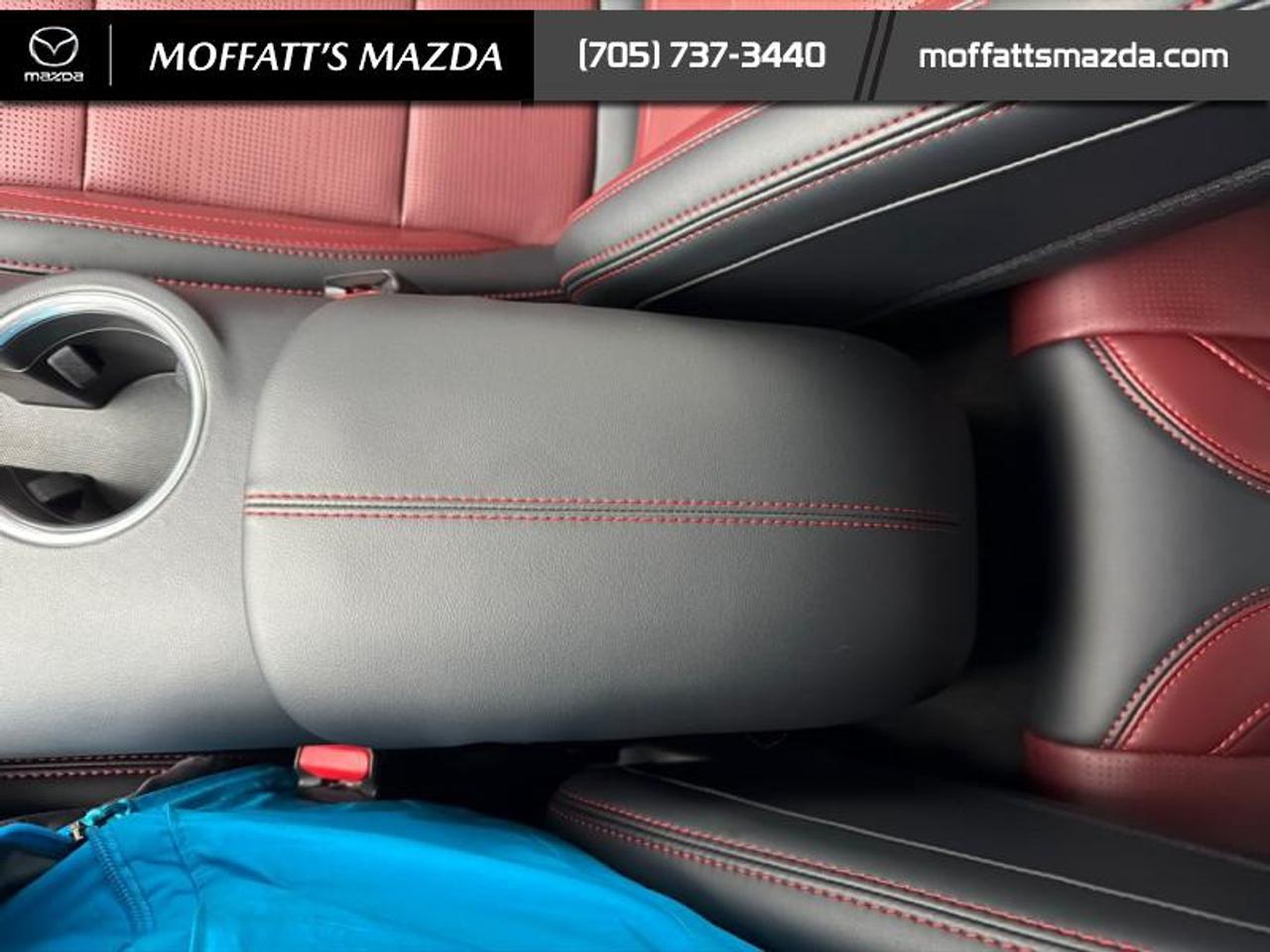 2024 Ford Mustang GT Premium Convertible Photo