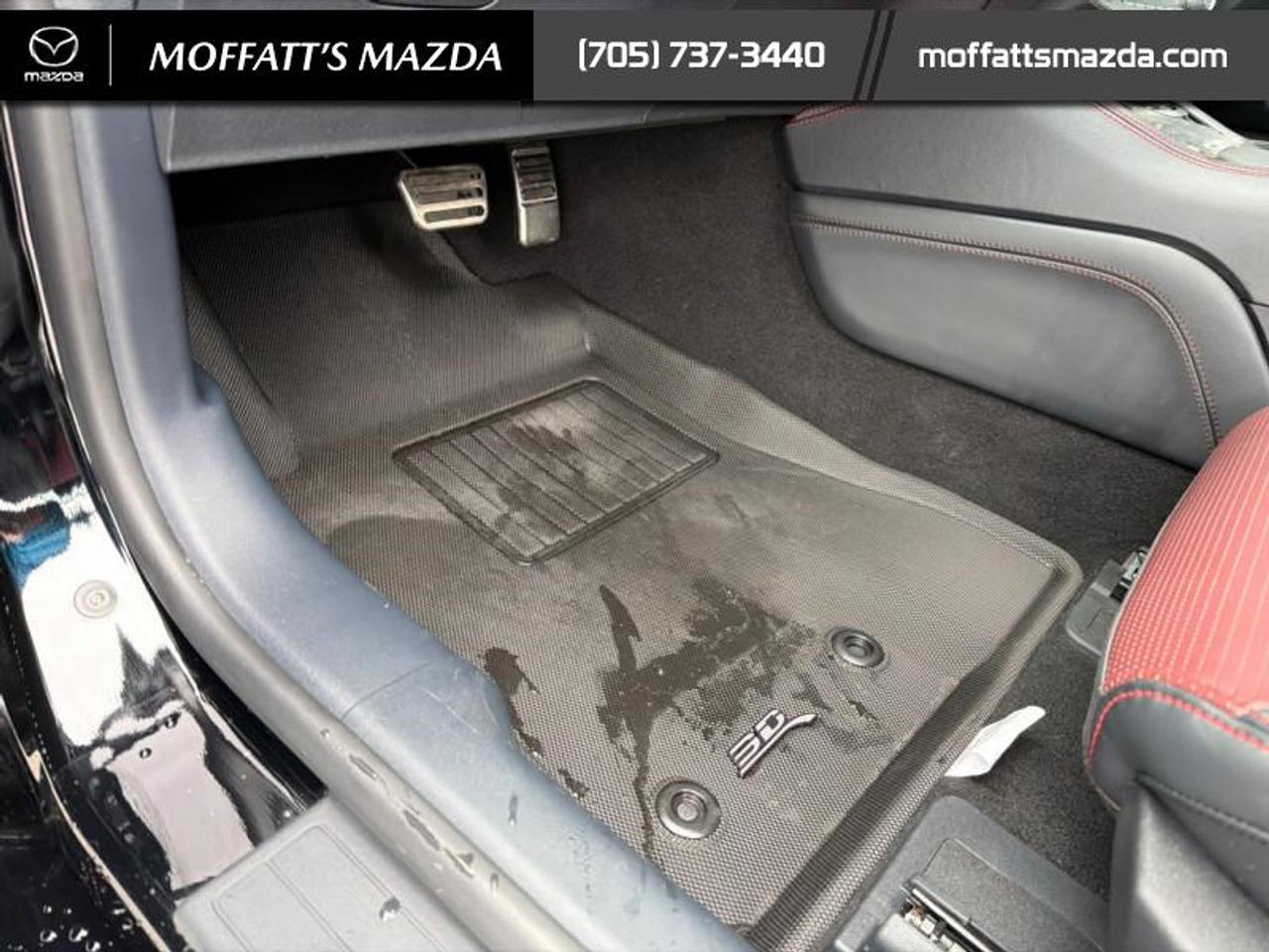 2024 Ford Mustang GT Premium Convertible Photo