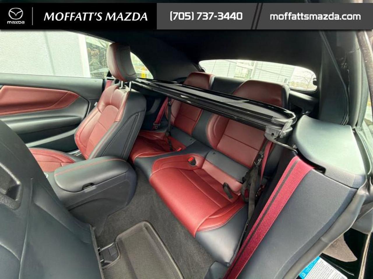 2024 Ford Mustang GT Premium Convertible Photo