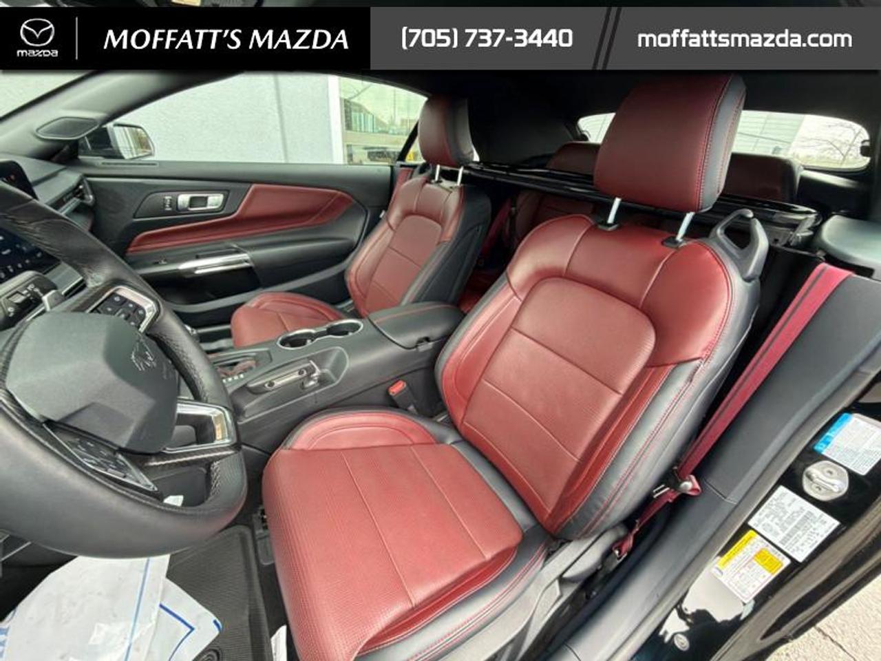 2024 Ford Mustang GT Premium Convertible Photo