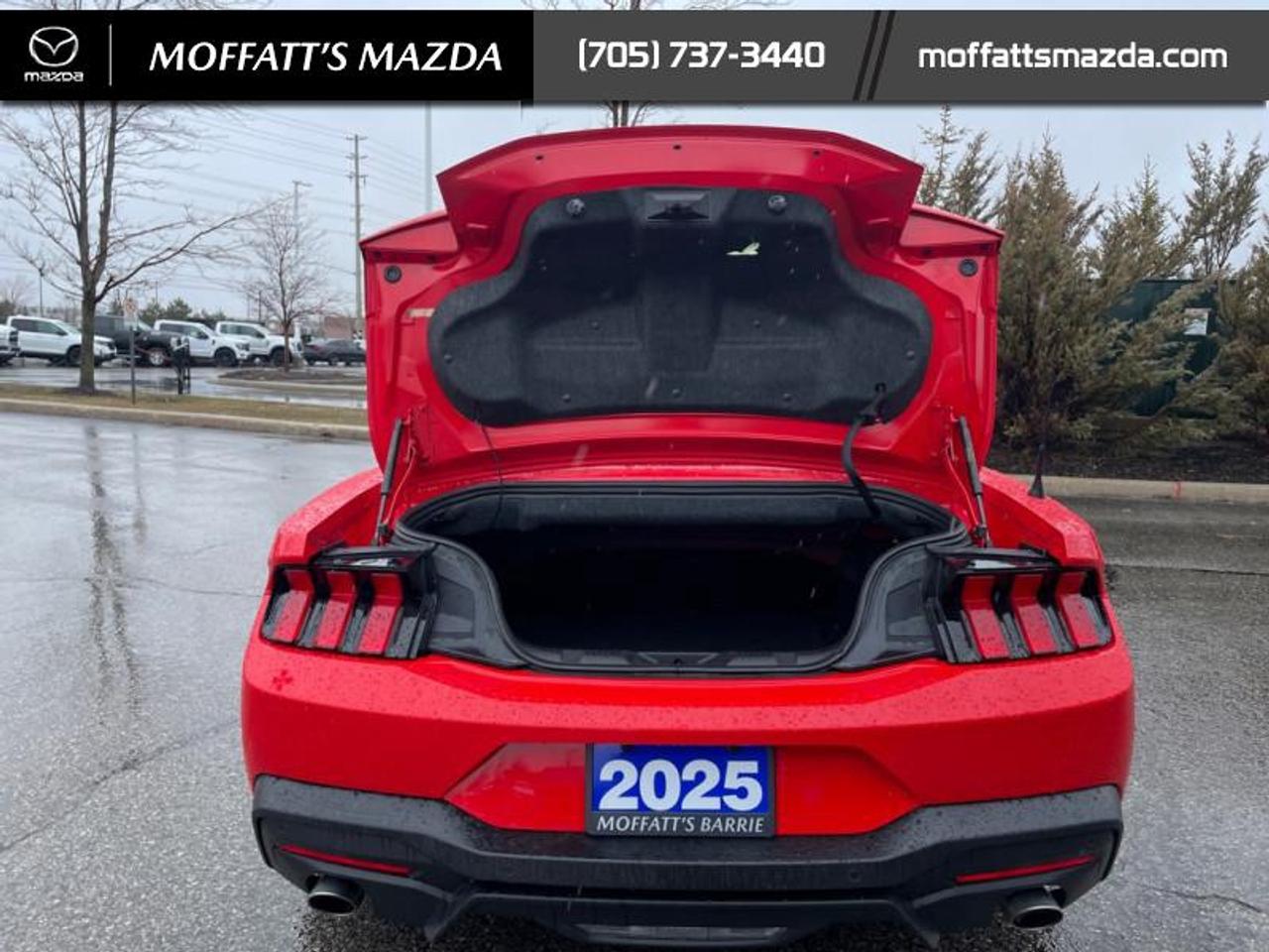 2025 Ford Mustang EcoBoost Photo