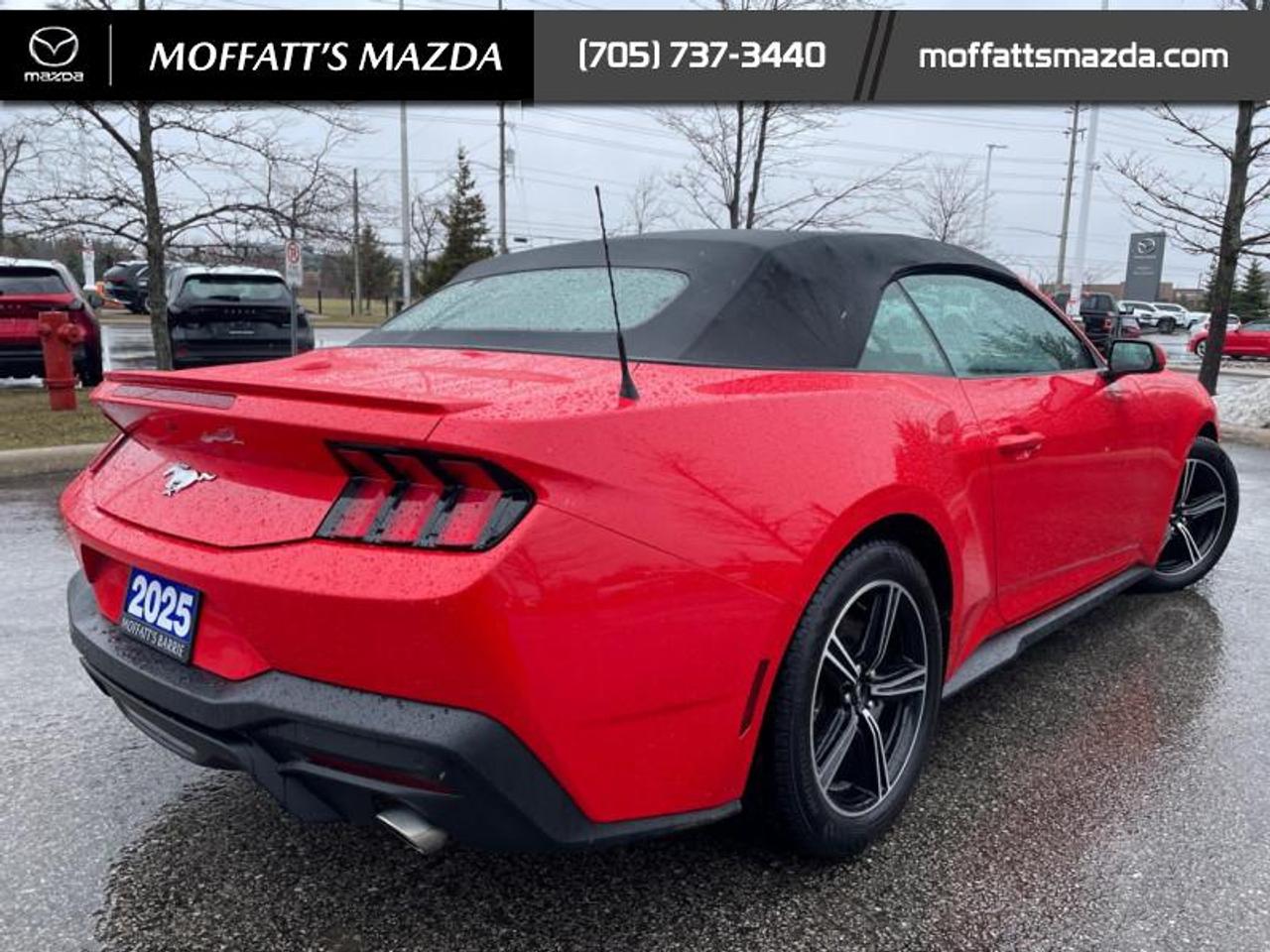 2025 Ford Mustang EcoBoost Photo