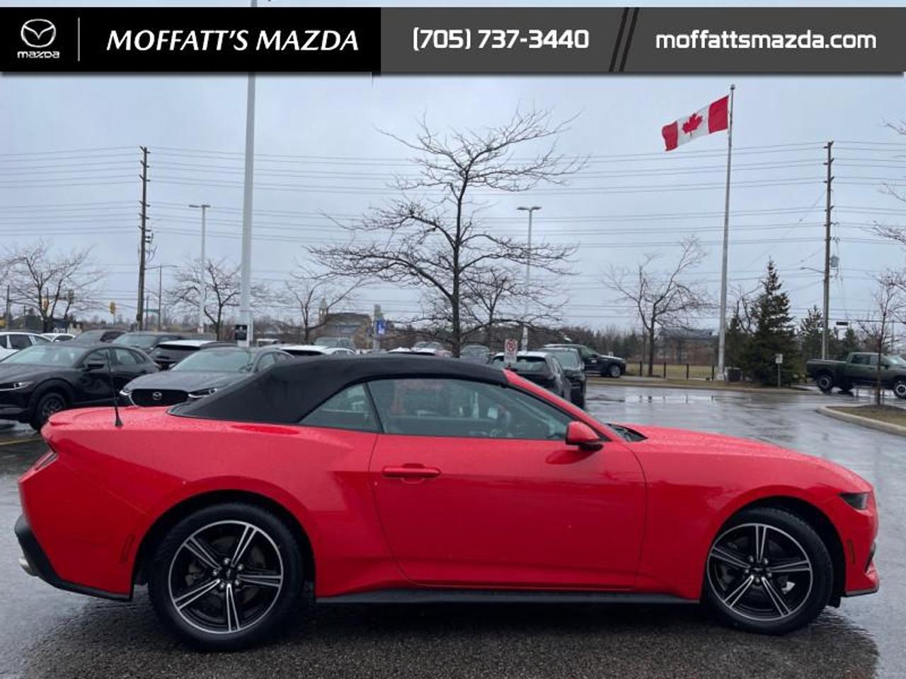 2025 Ford Mustang EcoBoost Photo