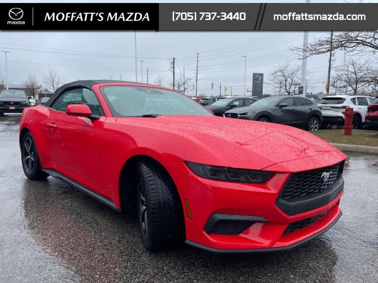 2025 Ford Mustang EcoBoost Photo