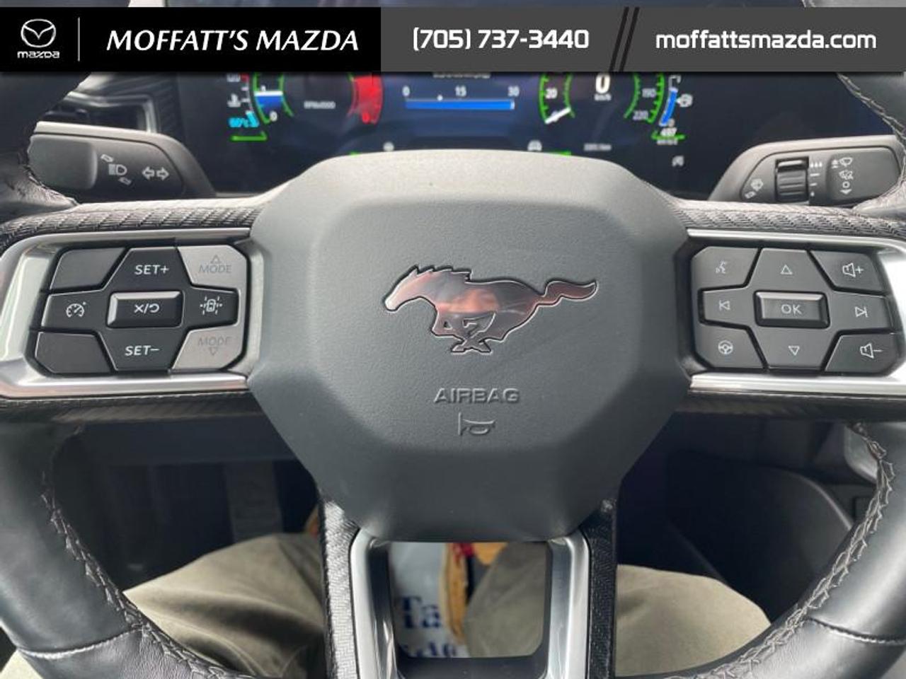 2025 Ford Mustang EcoBoost Photo