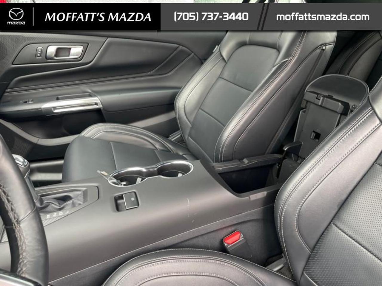 2025 Ford Mustang EcoBoost Photo