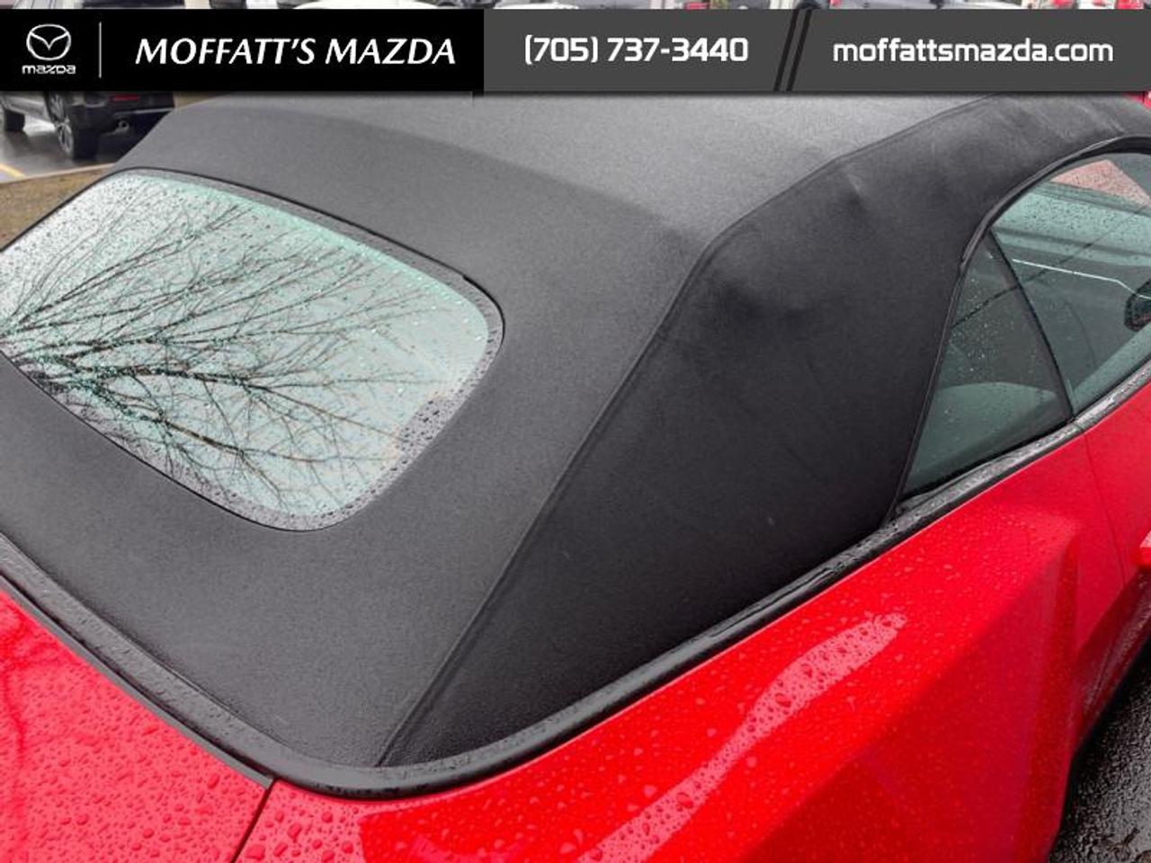 2025 Ford Mustang EcoBoost Photo