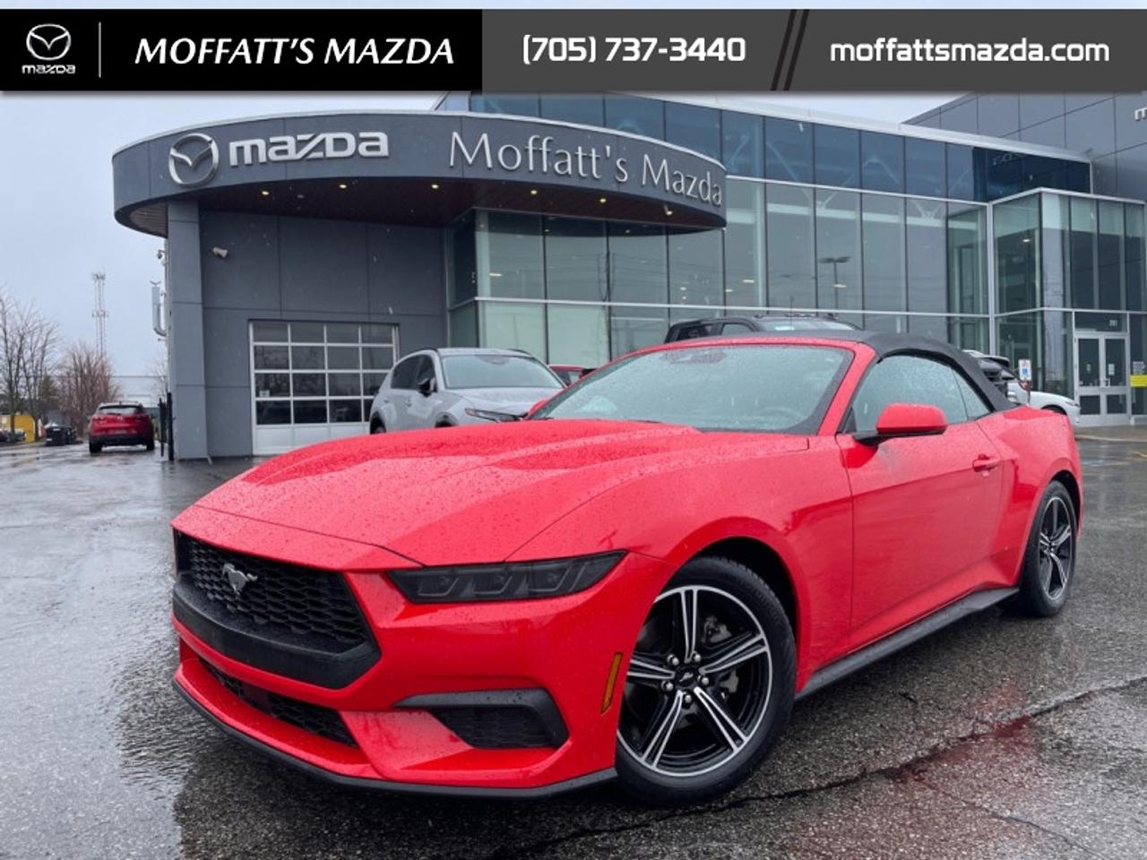 2025 Ford Mustang EcoBoost Photo