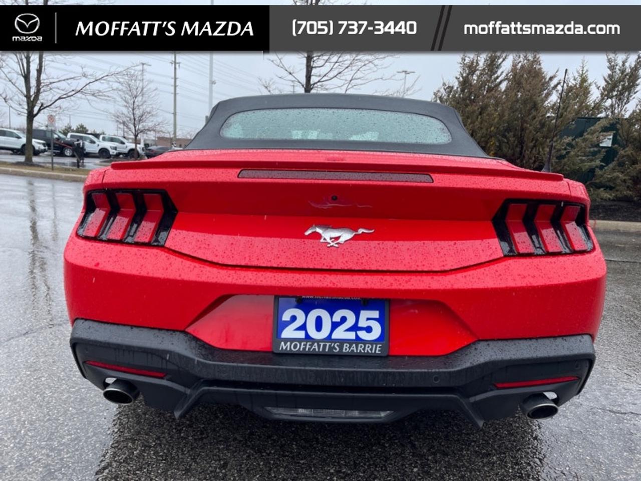 2025 Ford Mustang EcoBoost Photo
