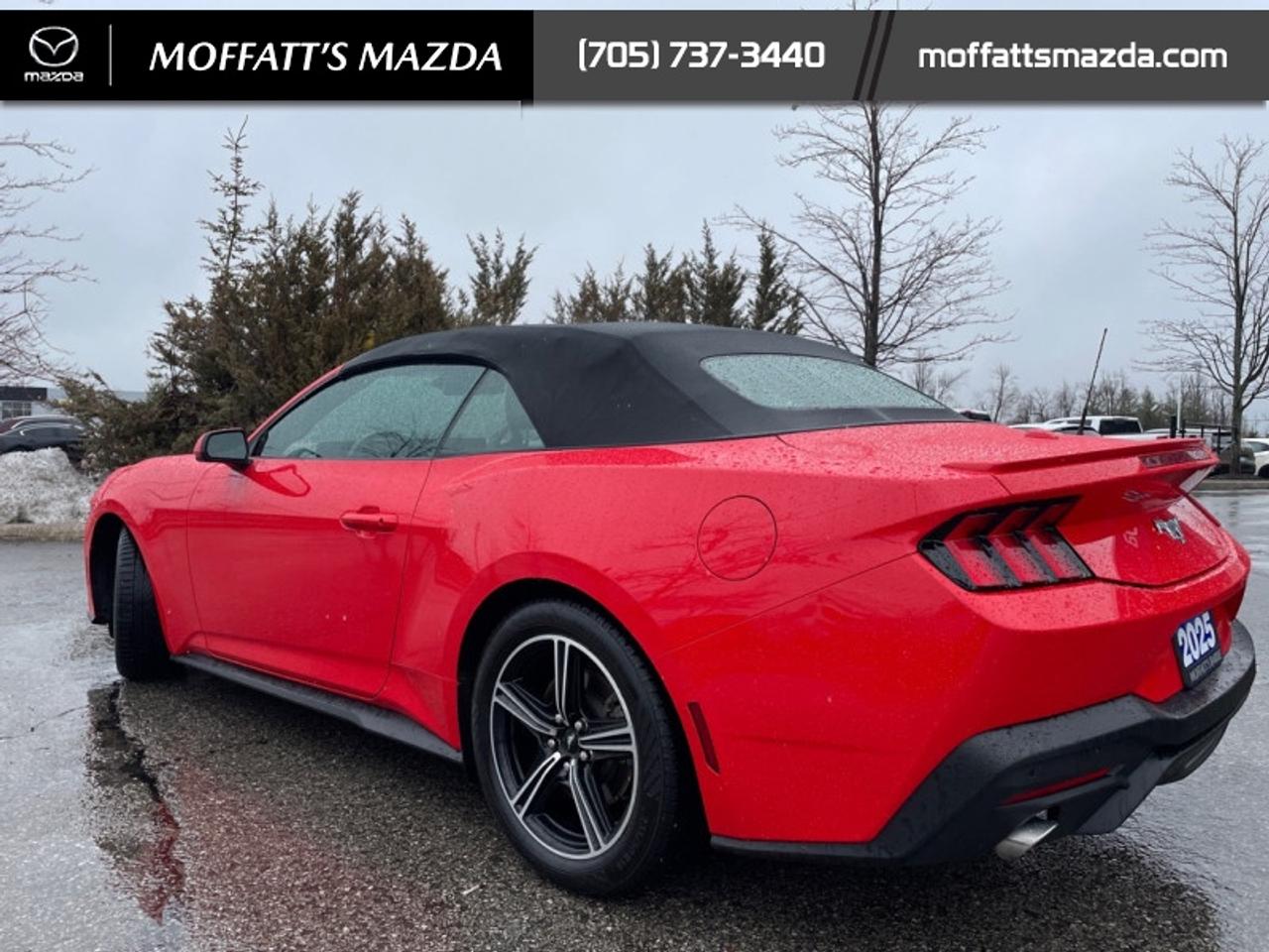 2025 Ford Mustang EcoBoost Photo