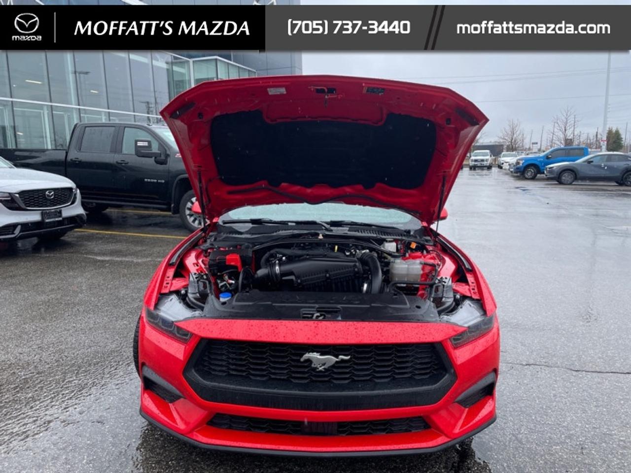 2025 Ford Mustang EcoBoost Photo