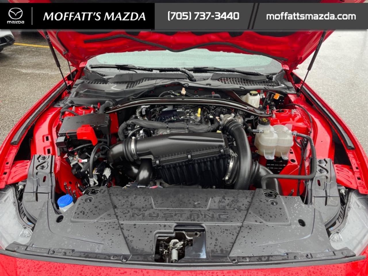 2025 Ford Mustang EcoBoost Photo