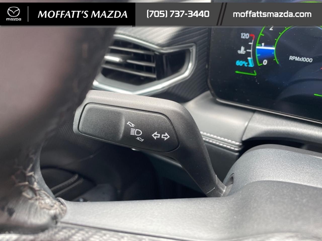 2025 Ford Mustang EcoBoost Photo