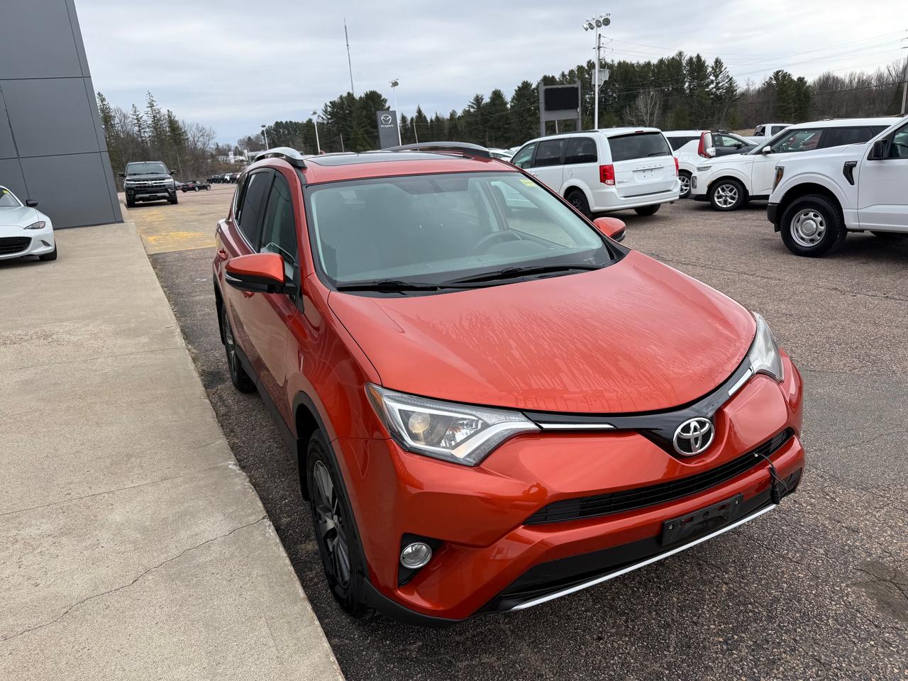 2016 Toyota RAV4 XLE 4dr All-wheel Drive Photo