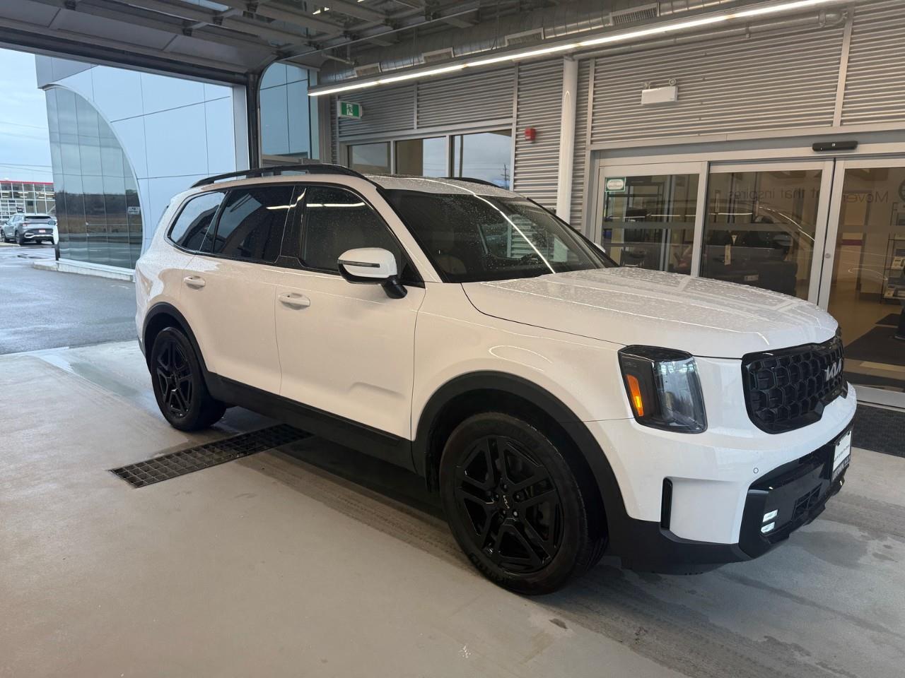 2024 Kia Telluride X-Line w/Terracotta Brown Interior 4dr All-Wheel Drive Photo