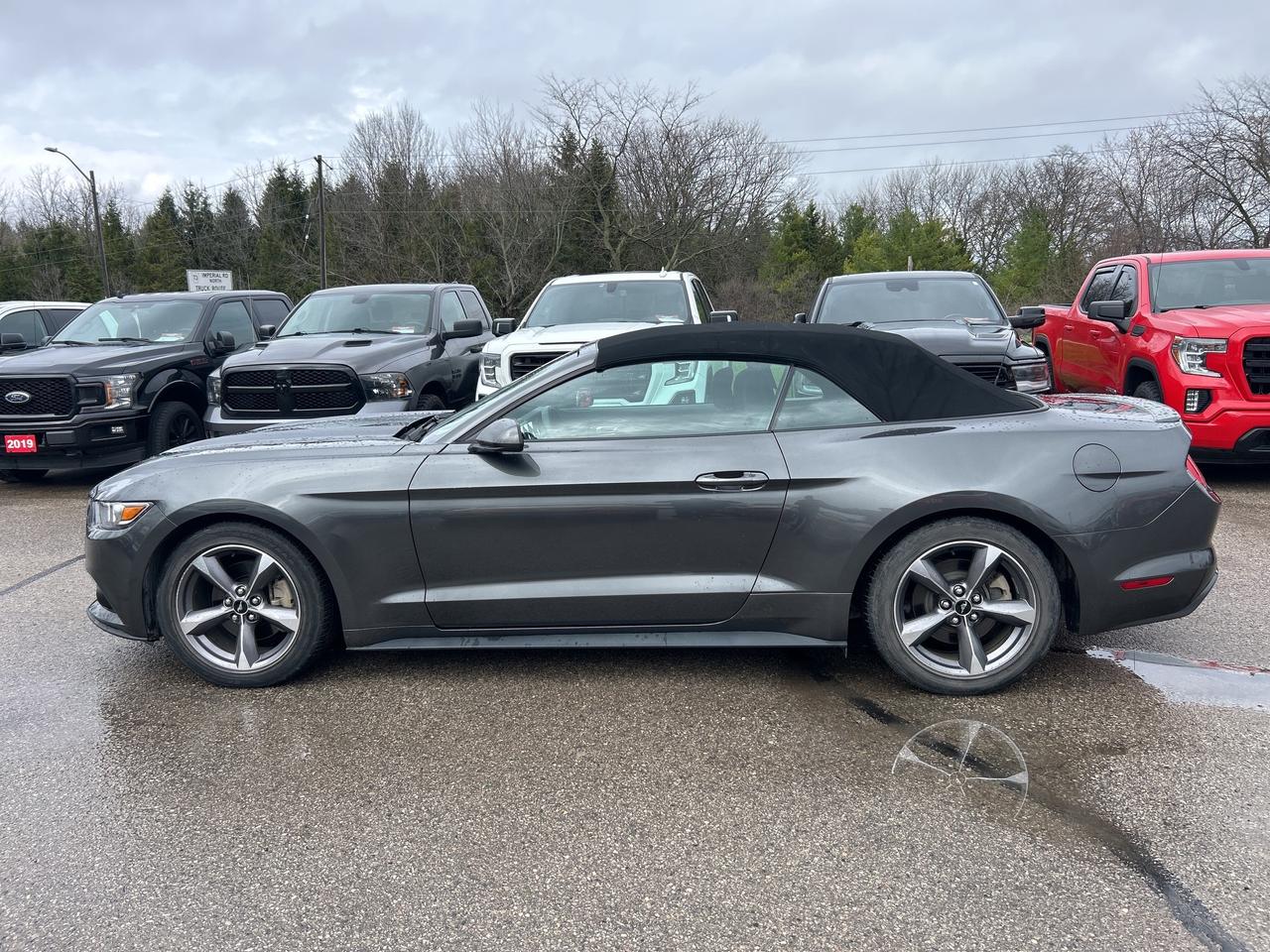 2017 Ford Mustang 3.7L, AUTO, REMOTE START, BACK UP CAMERA, CLOTH! Photo2