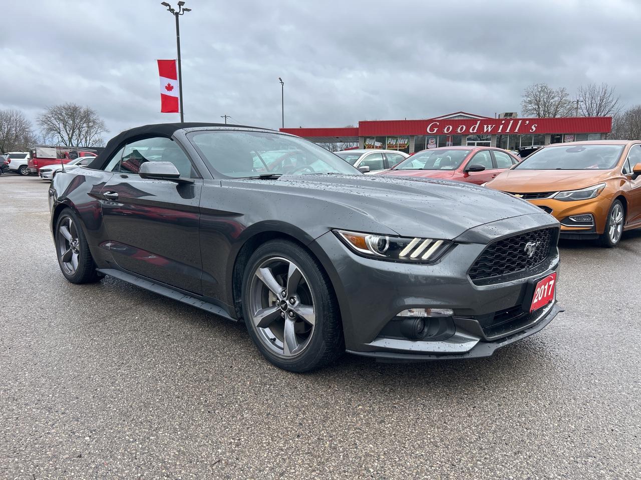 2017 Ford Mustang 3.7L, AUTO, REMOTE START, BACK UP CAMERA, CLOTH! Photo