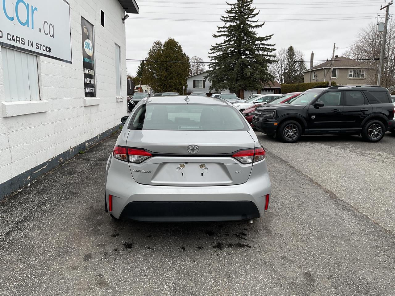 2024 Toyota Corolla  Photo