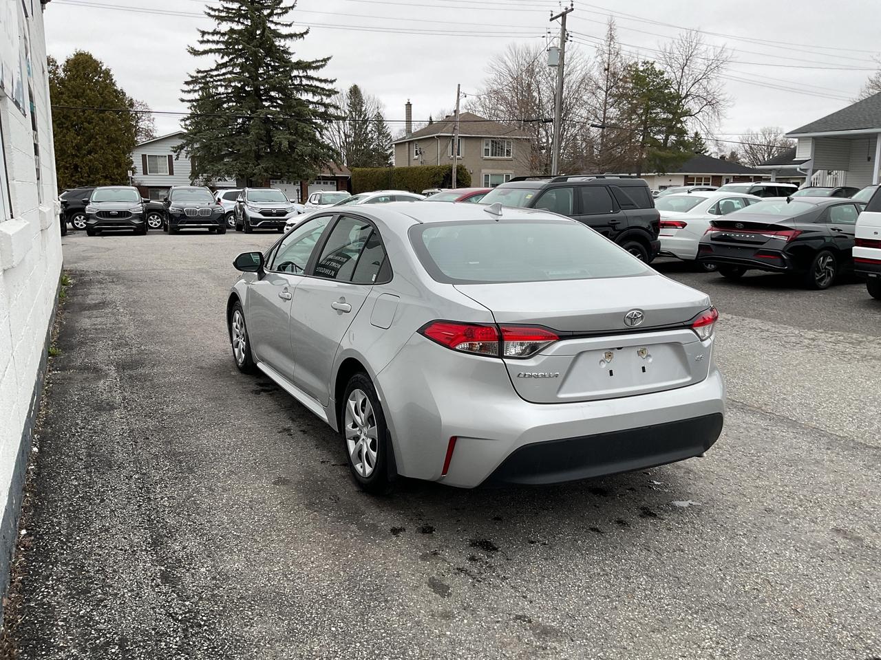 2024 Toyota Corolla  Photo