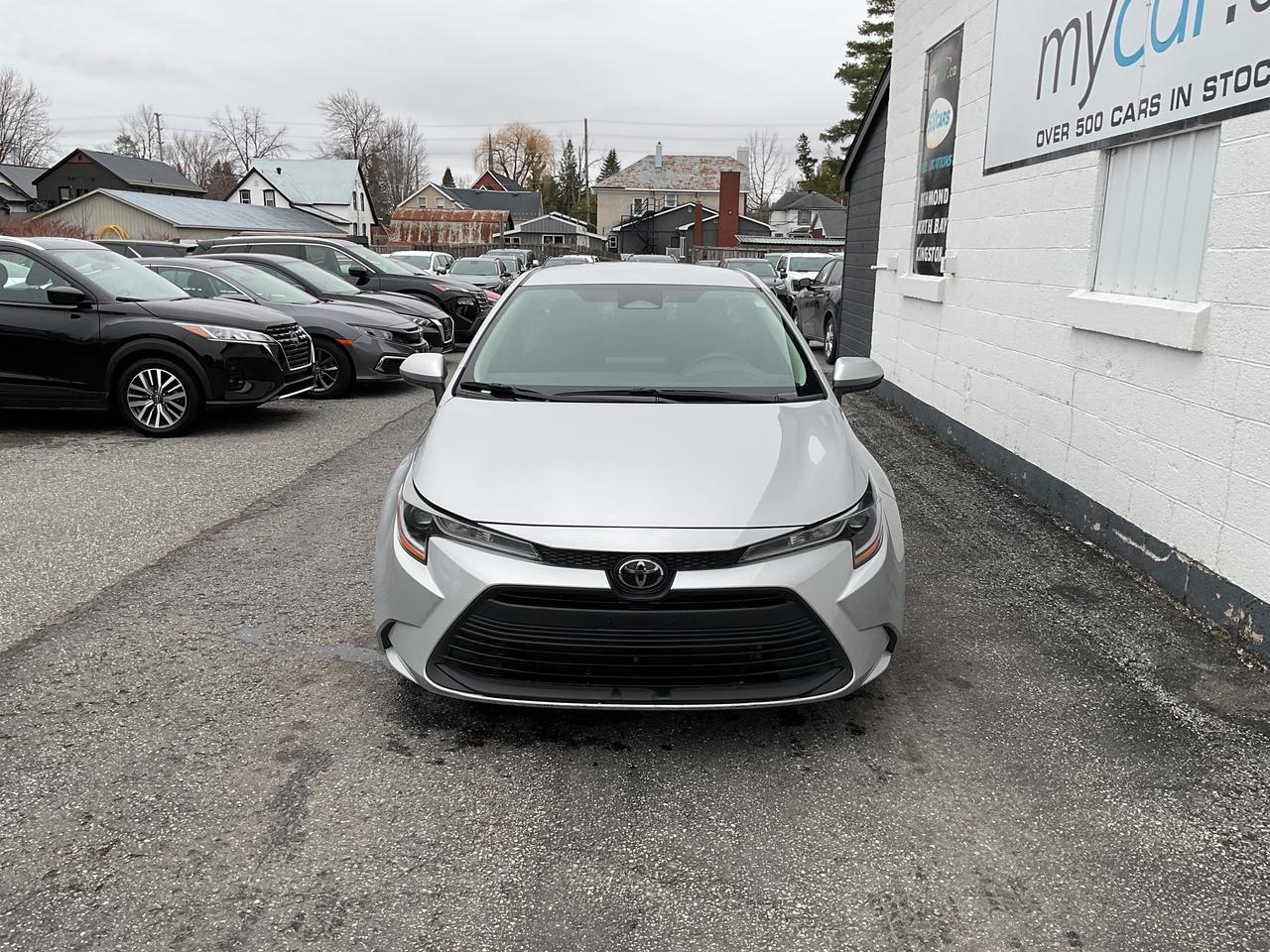 2024 Toyota Corolla  Photo