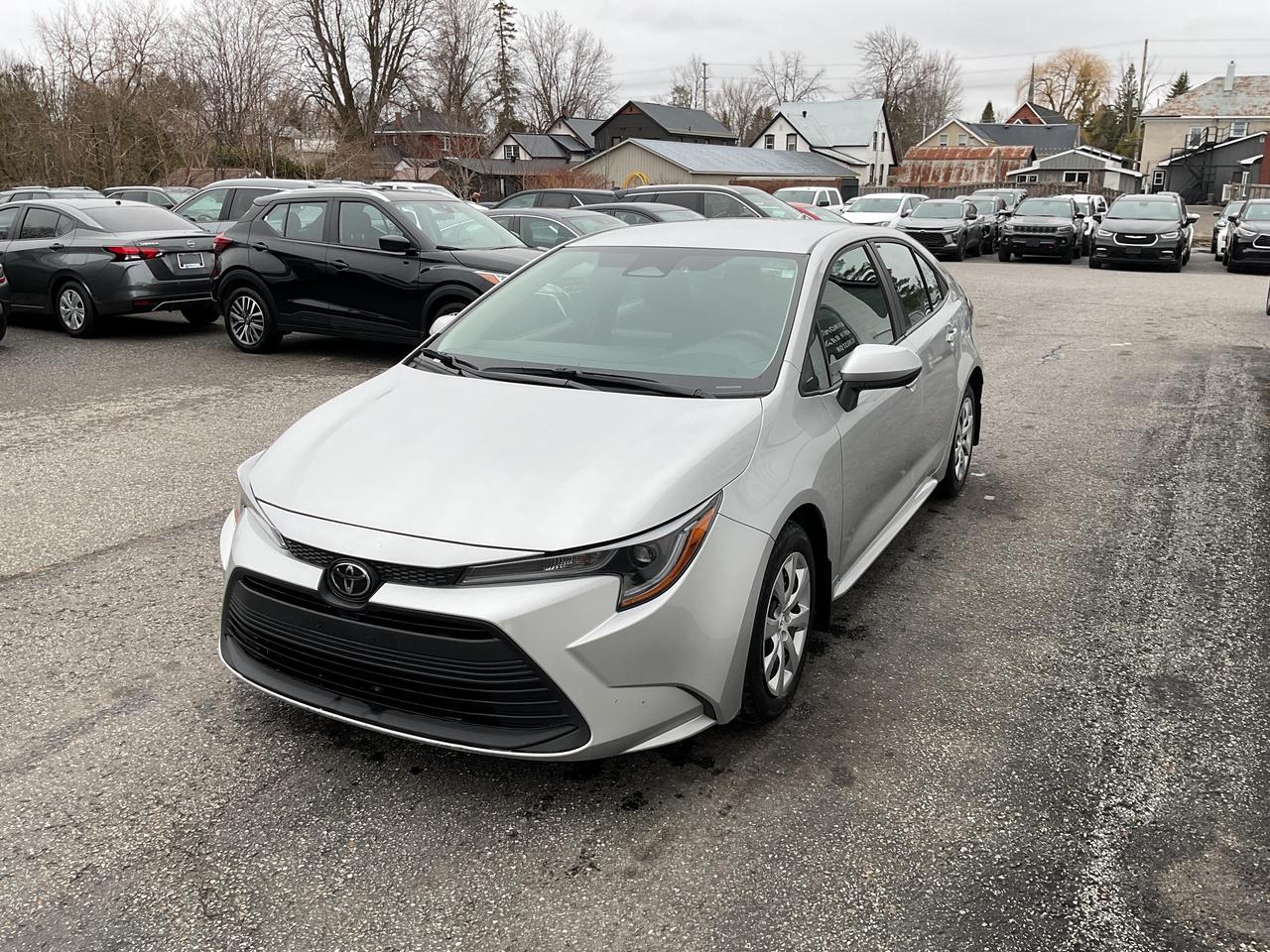 2024 Toyota Corolla  Photo