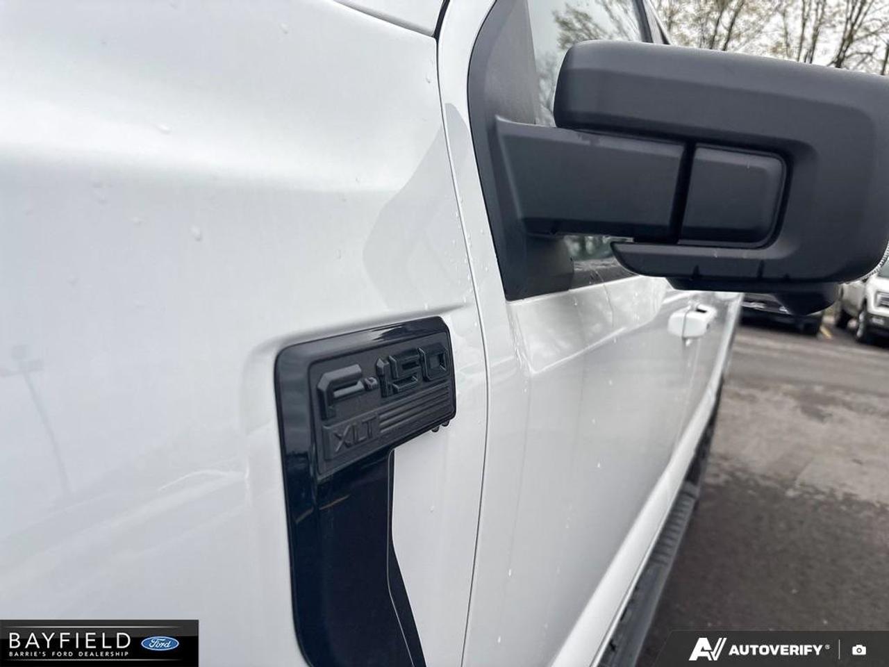 2026 Ford F-150 XLT 4WD SuperCrew 5.5' Box Photo