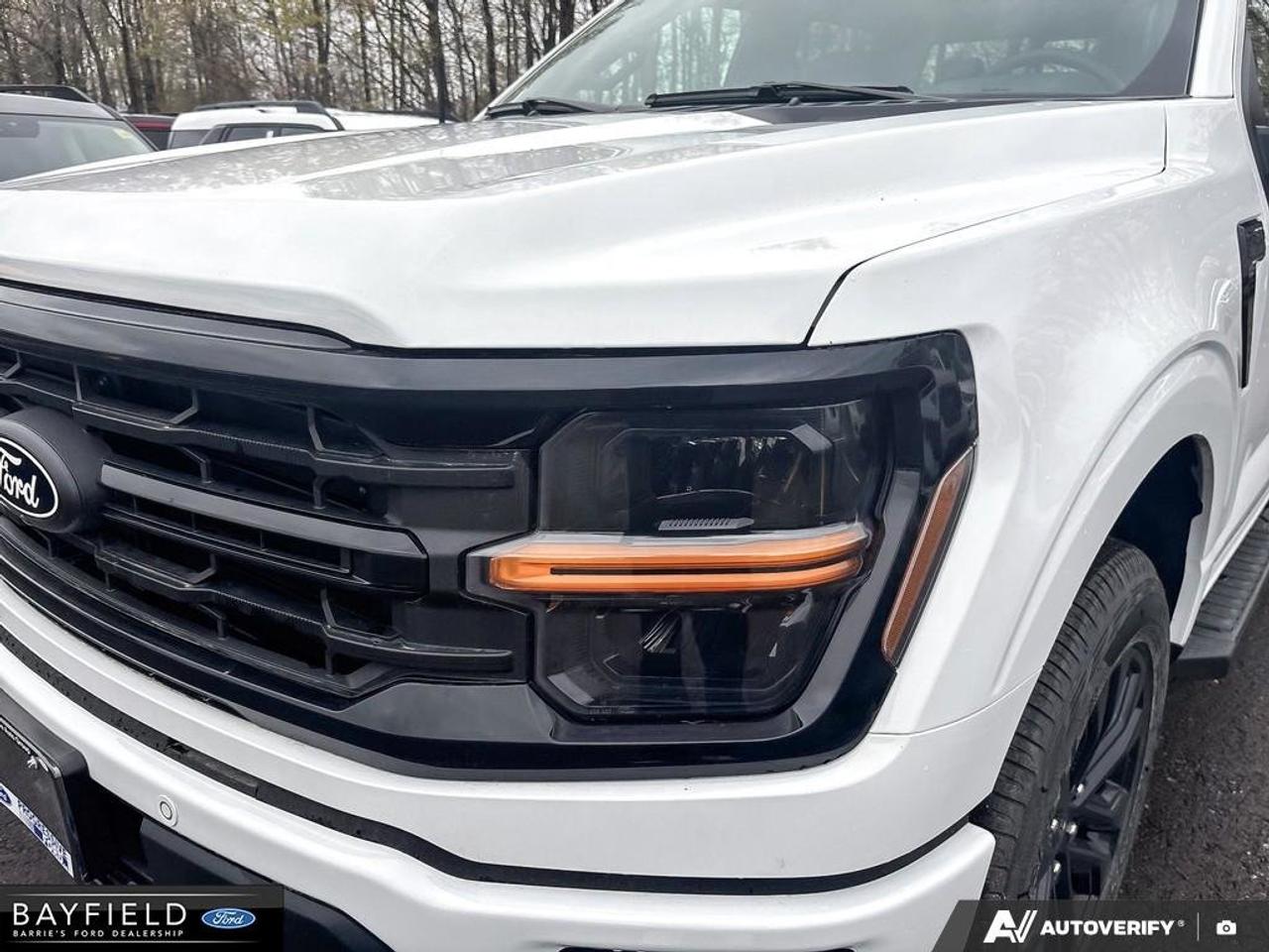 2026 Ford F-150 XLT 4WD SuperCrew 5.5' Box Photo