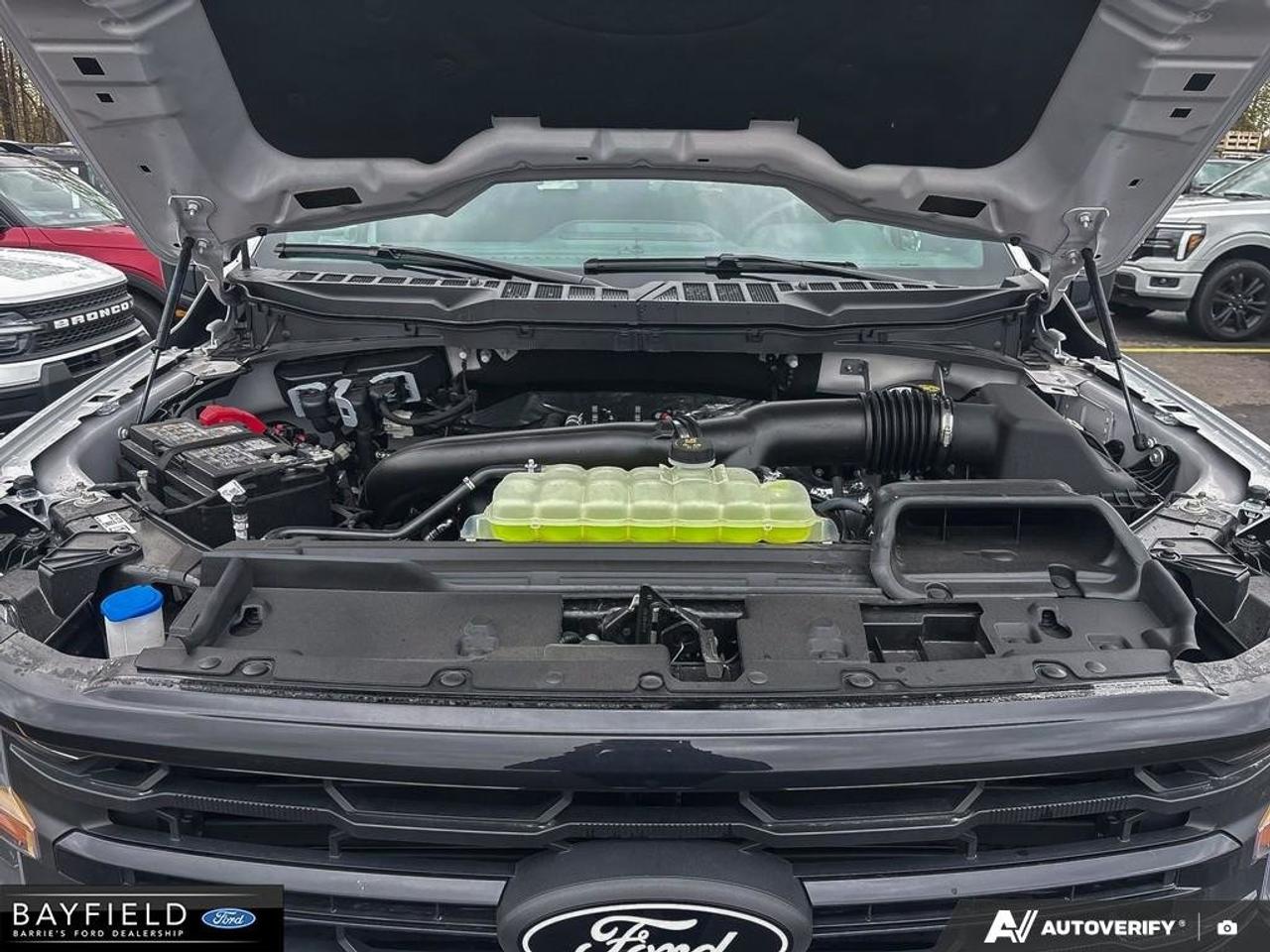 2026 Ford F-150 XLT 4WD SuperCrew 5.5' Box Photo