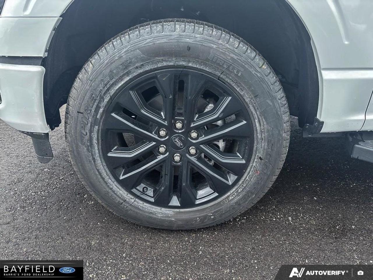 2026 Ford F-150 XLT 4WD SuperCrew 5.5' Box Photo