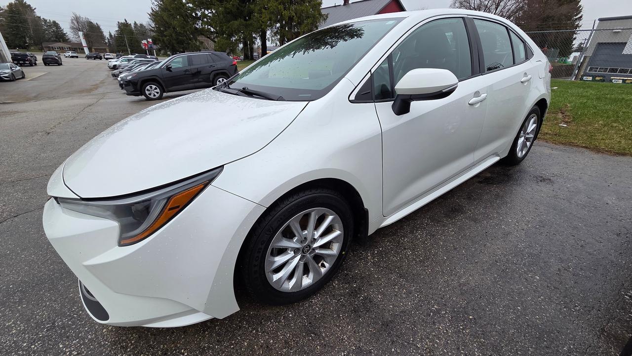2020 Toyota Corolla XLE Photo
