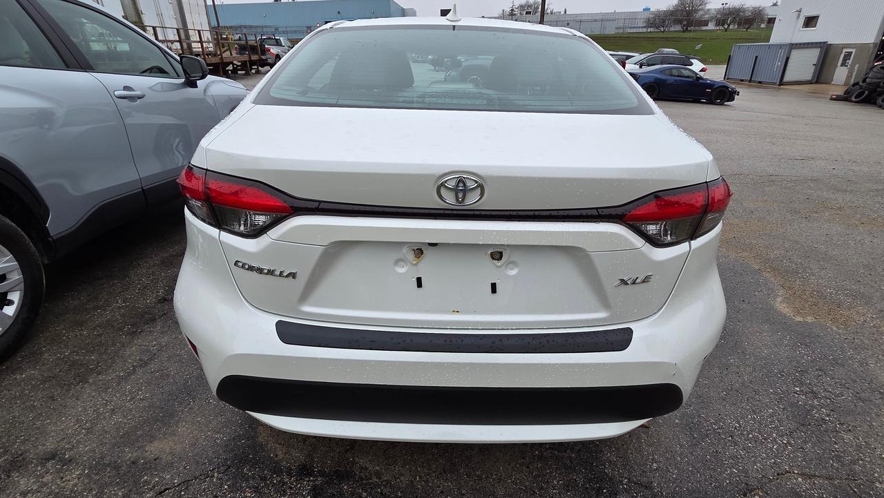 2020 Toyota Corolla XLE Photo