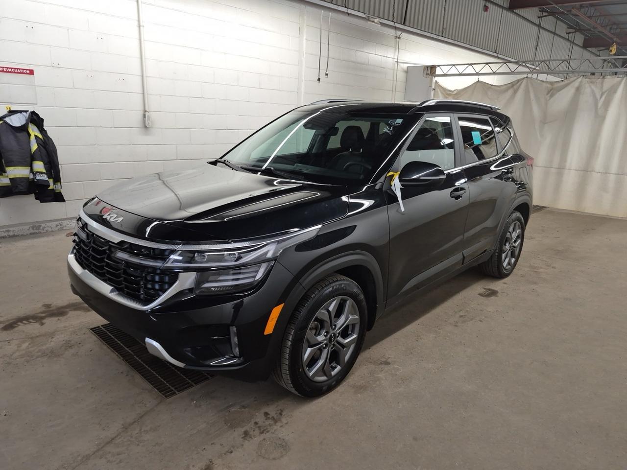 2024 Kia Seltos EX Photo0