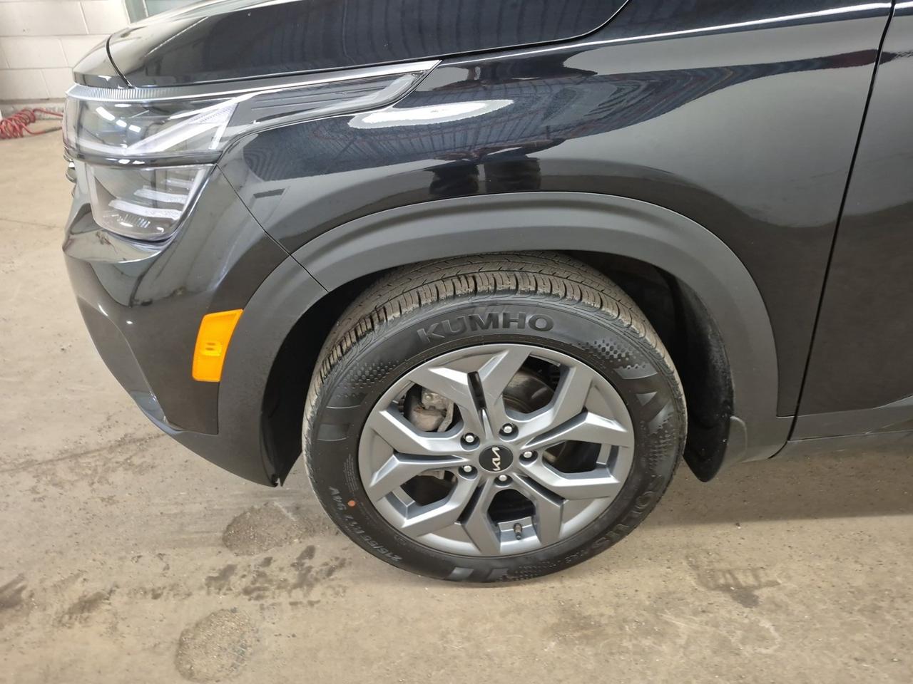 2024 Kia Seltos EX Photo
