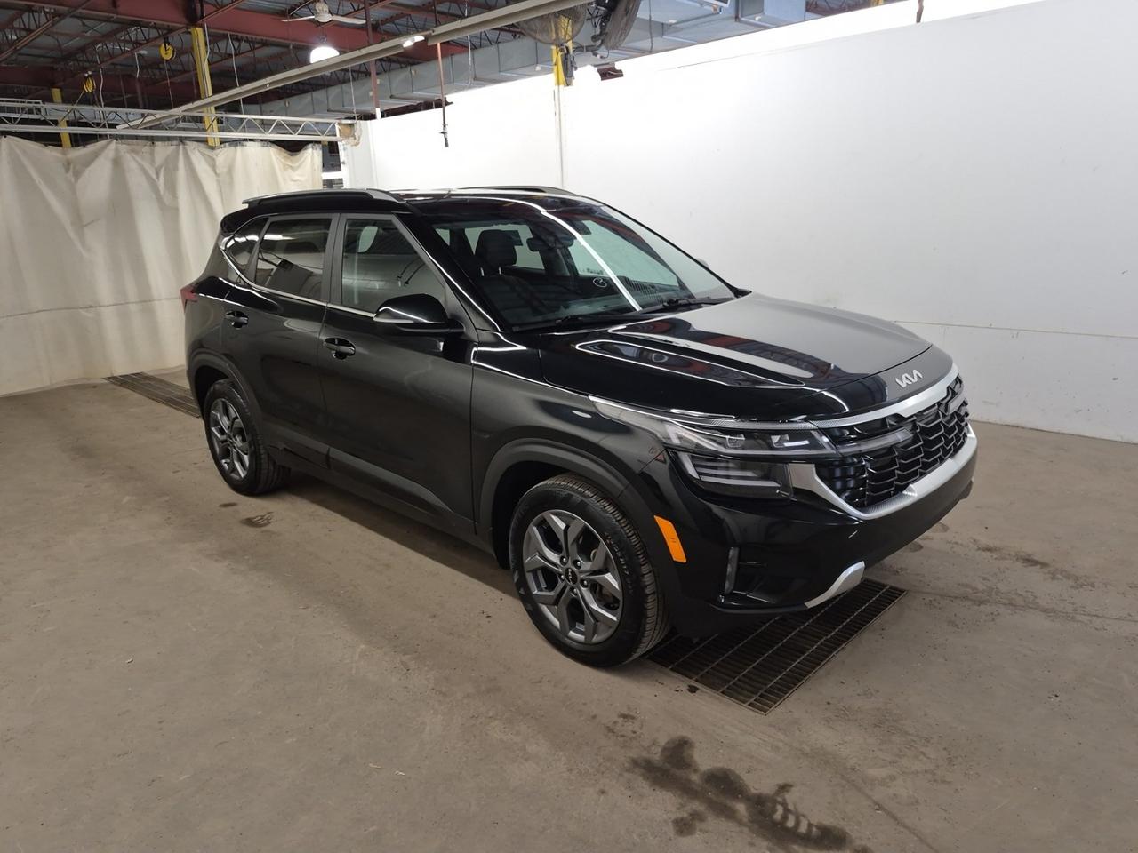 2024 Kia Seltos EX Photo