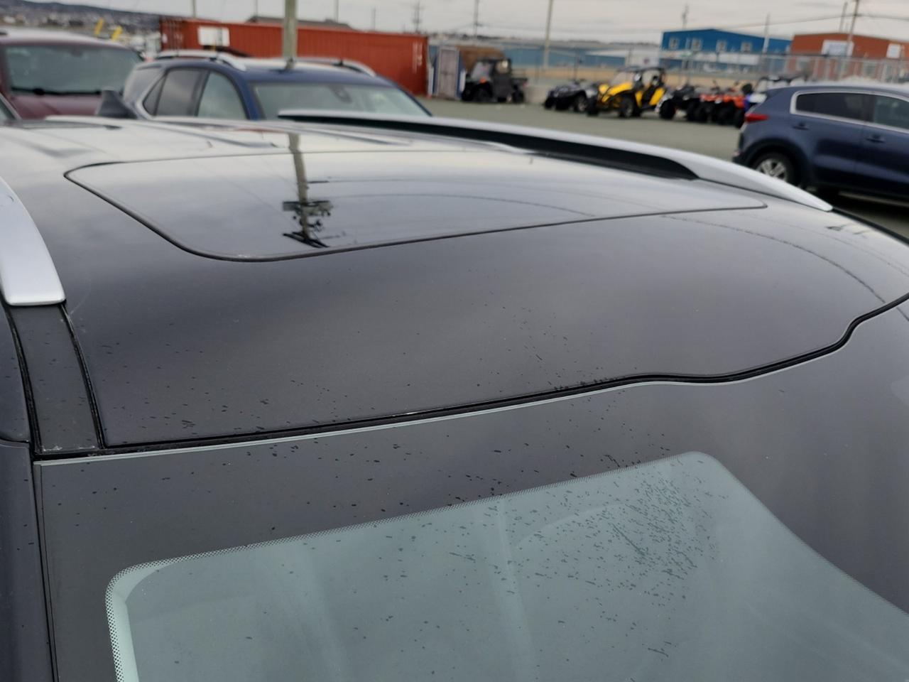2024 Kia Seltos EX Photo