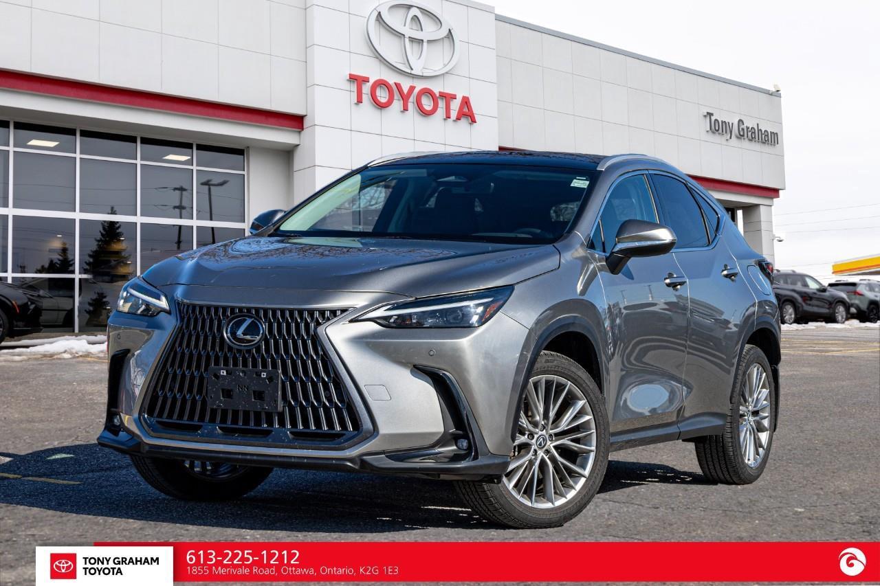 2025 Lexus NX 350  Photo0