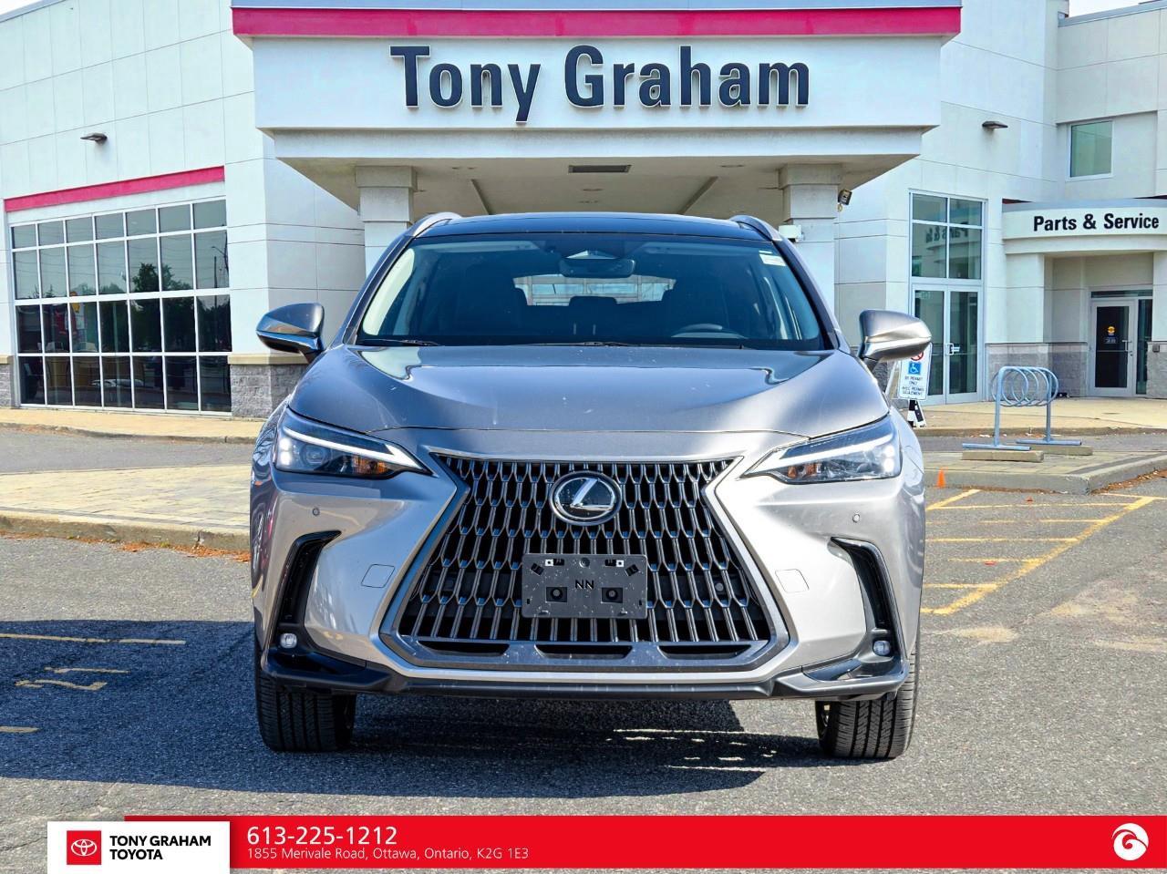 2025 Lexus NX 350  Photo