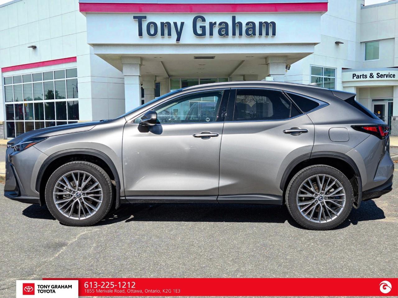 2025 Lexus NX 350  Photo2