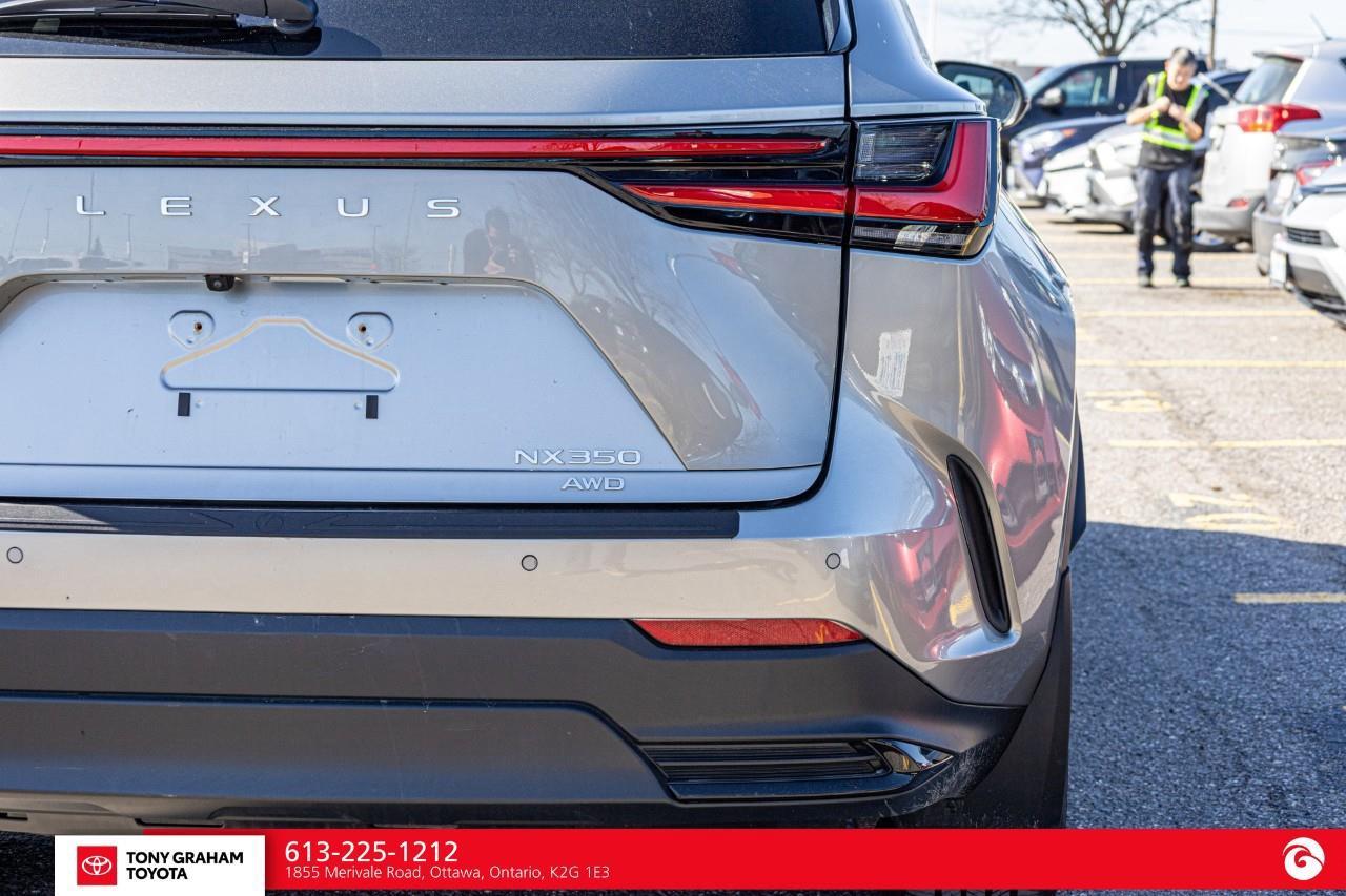 2025 Lexus NX 350  Photo