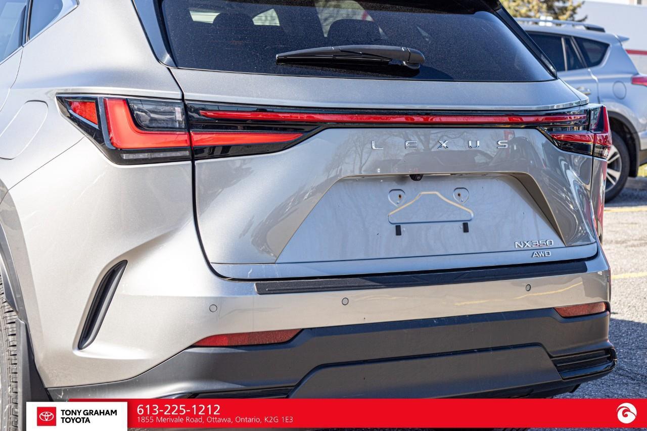 2025 Lexus NX 350  Photo