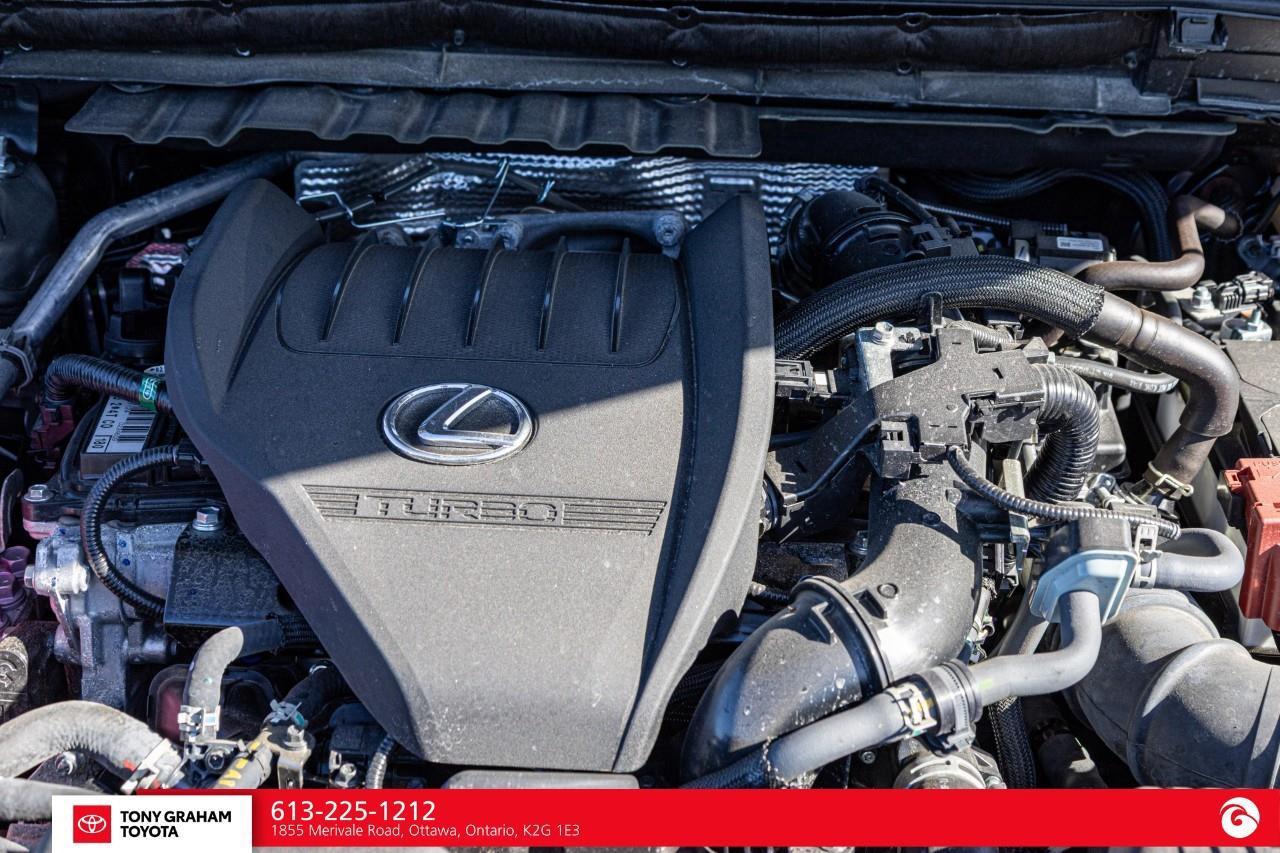 2025 Lexus NX 350  Photo
