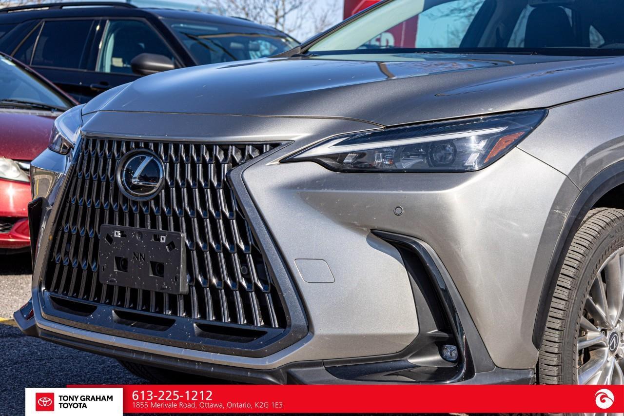 2025 Lexus NX 350  Photo