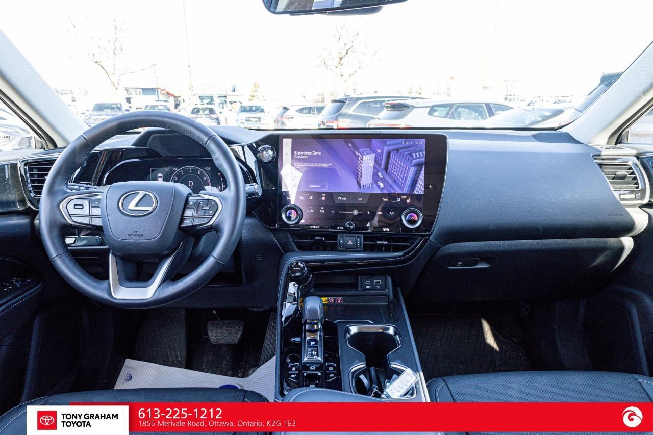 2025 Lexus NX 350  Photo