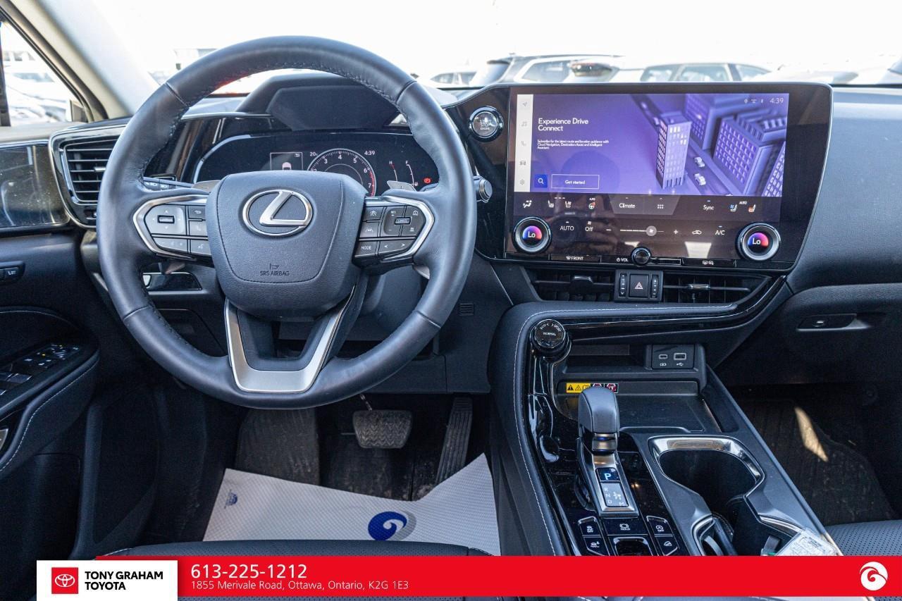 2025 Lexus NX 350  Photo