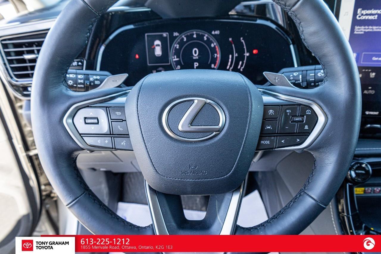2025 Lexus NX 350  Photo