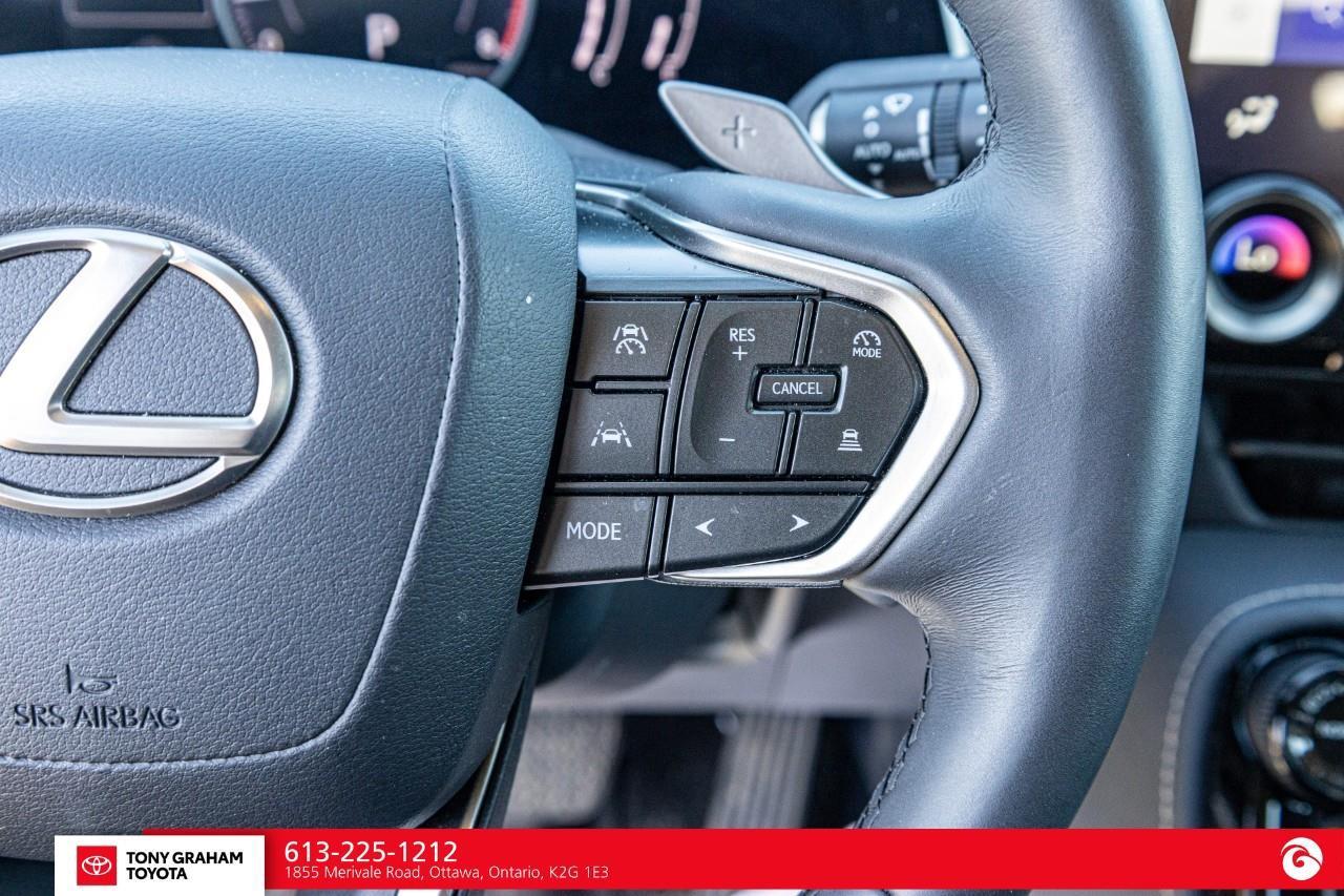2025 Lexus NX 350  Photo