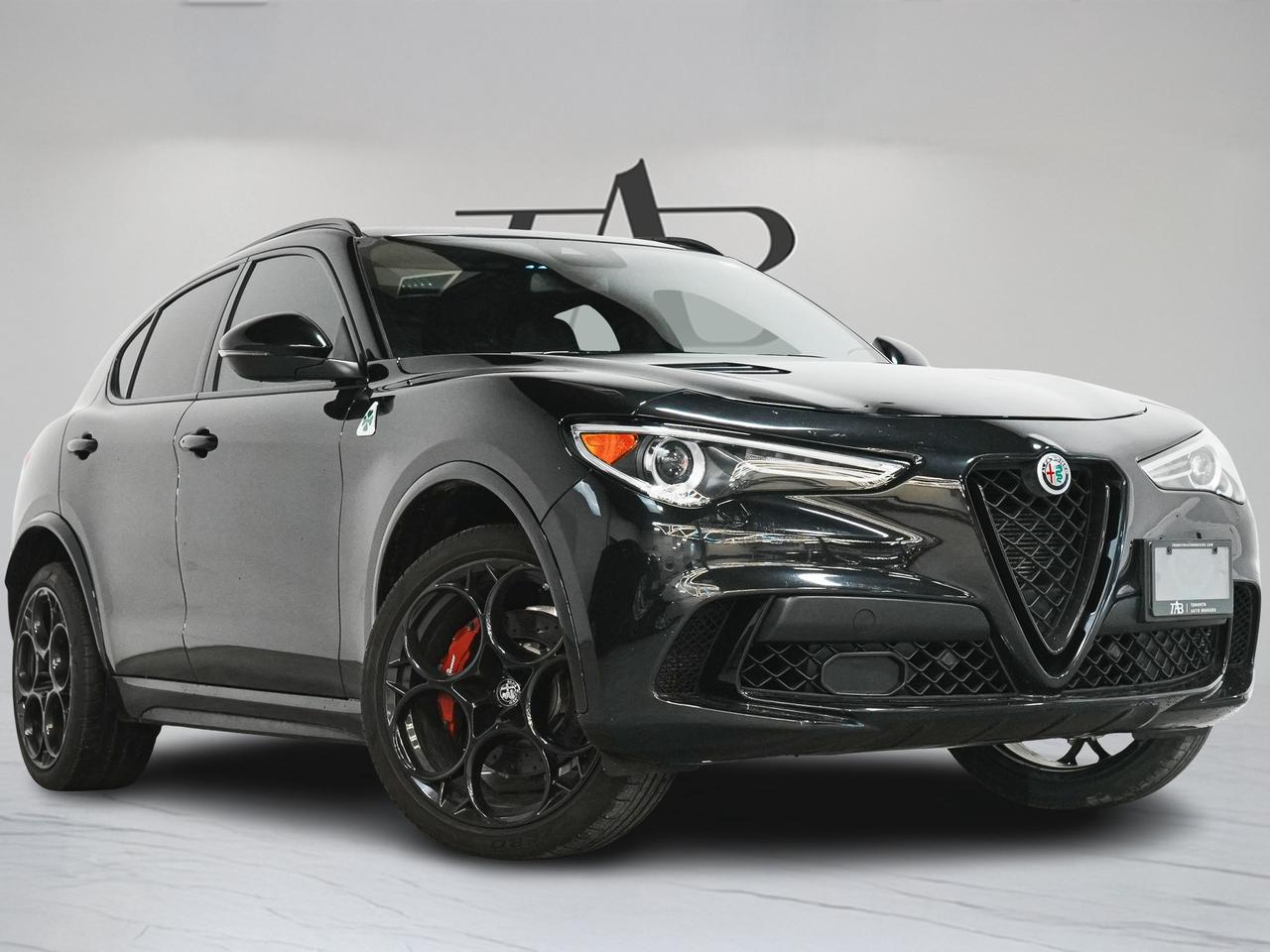 2022 Alfa Romeo Stelvio QUADRIFOGLIO | HARMAN KARDON | CARBON FIBER Photo