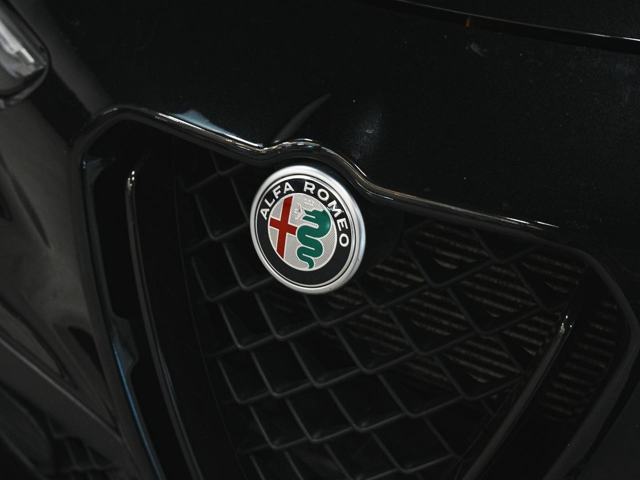 2022 Alfa Romeo Stelvio QUADRIFOGLIO | HARMAN KARDON | CARBON FIBER Photo